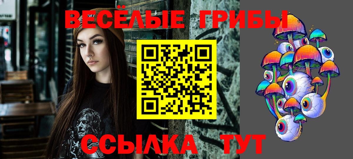 Сердобск  Галлюциногенные грибы ЛСД  даркнет сайт  Вход с VPN 