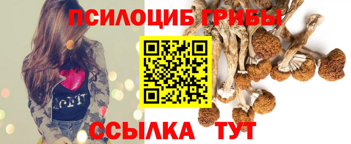 Галлюциногенные грибы ЛСД Сердобск